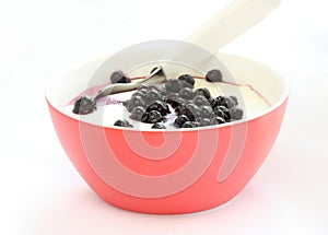 Red bowl with children pap / mush with blueberries