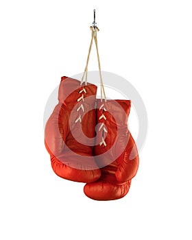 Red Boxing Gloves