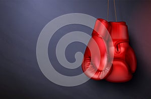 Red Boxing Gloves Composition