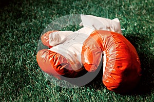 Red boxing gloves on green grass.