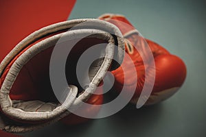 red boxing gloves on a red and blue background