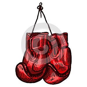 Red boxing gloves sketch hanging in isolated white background. Vintage sporting equipment for kickboxing in engraved style