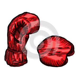 Red boxing gloves sketch in isolated white background. Vintage sporting equipment for kickboxing in engraved style