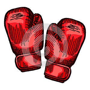 Red boxing gloves sketch in isolated white background. Vintage sporting equipment for kickboxing in engraved style