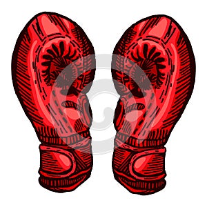 Red boxing gloves sketch in isolated white background. Vintage sporting equipment for kickboxing in engraved style