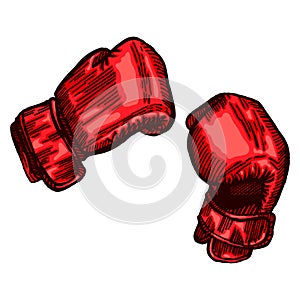 Red boxing gloves sketch in isolated white background. Vintage sporting equipment for kickboxing in engraved style