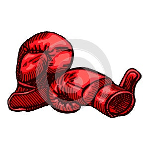 Red boxing gloves sketch in isolated white background. Vintage sporting equipment for kickboxing in engraved style