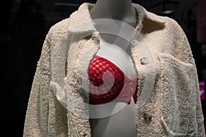 red bra and fluffy pyjama on mannequin in a fashion store showroom