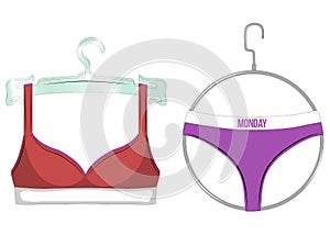 Red bra and violet panties on a hangers. Female underwear isolated on white background. Vector illustration.