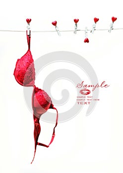 Red brassiere hanging on clothesline photo