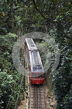 Red Brazilian Train Green Jungle Tijuca Rio Brazil