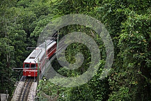 Red Brazilian Train Green Jungle Tijuca Rio de Janeiro