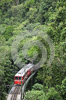 Red Brazilian Train Green Jungle Tijuca Rio de Janeiro