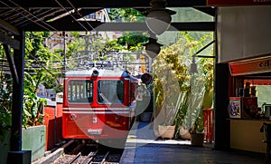 Red Brazilian Train Best Jungle, Tijuca Rio de Janeiro