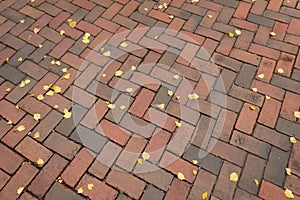 Red brick background with herringbone pattern littered with bright yellow leaves