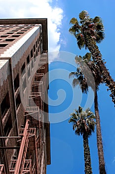 Red brick building and palm trees at Koreyataun in Los Angeles.
