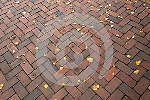 Red brick herringbone pattern background with yellow leaves