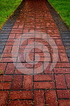 Red Brick path on lawn