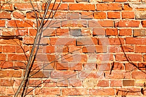Red brick texture. Old brick wall background.