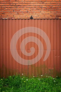 Red brick and tin wall background with green grass