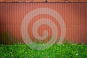 Red brick and tin wall background with green grass