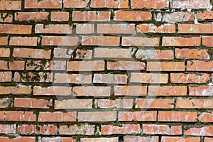 Red brick wall covered with green moss in places