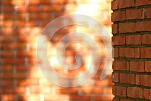 A red brick wall with falling sun rays through the leaves.