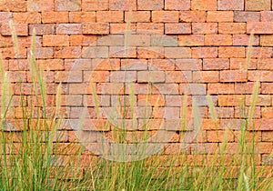 Red brick wall with front green grass