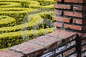 Red brick wall and green garden background abstraction contrast