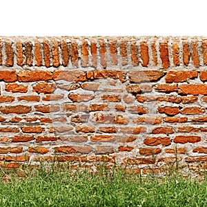 Red brick wall with green grass isolated on white