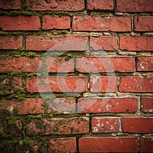 Red brick wall texture grunge background photo