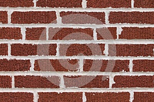 Red Brick Wall with white mortor