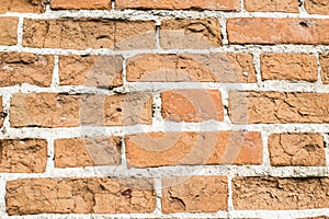 Red brick with white cement photo