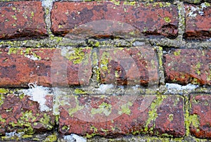 Red bricks