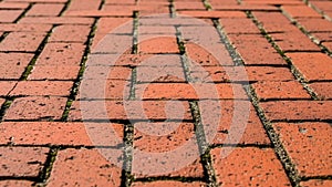 Red bricks arranged in a herringbone pattern create a textured pavement