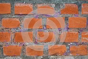 Red bricks in concrete wall with as background front view close-up horizontal photo
