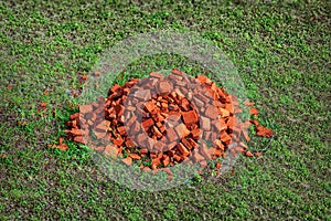 Red bricks on the green grass