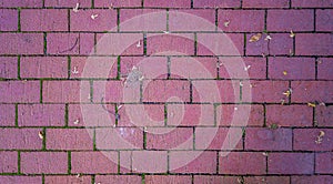 Red bricks pattern with some dead leaves