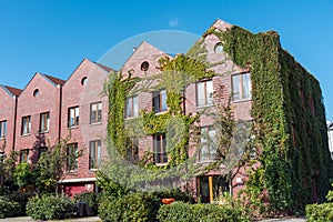 Red brickwall serial houses