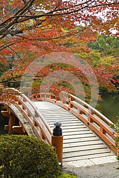 Red bridge on an autumn garden