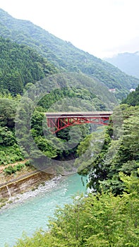 Red bridge and green river in Iya valley in Japan