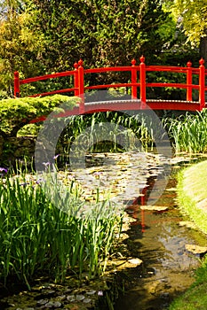 Red bridge. Irish National Stud's Japanese Gardens. Kildare. Ireland photo