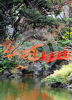 Red bridge in Japanese garden