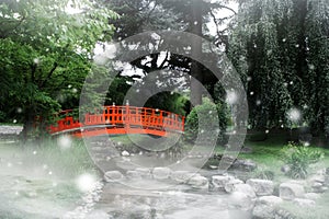 Red bridge in a japanese garden