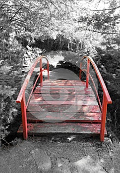 Red bridge in a Japanese garden