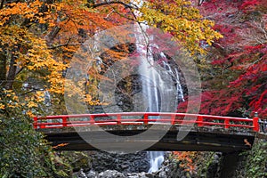 The red bridge in minoh waterfall