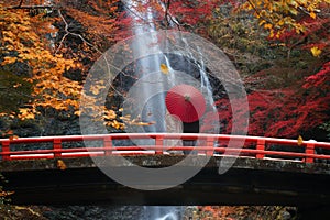 The red bridge in minoh waterfall