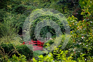 Red bridge over the lake in the Japanese garden