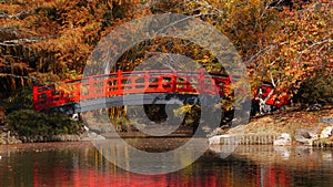 A red bridge over a pond leads to a japanese garden at Duke University in Durham, North Carolina.
