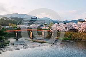 Red bridge and sakura with hot spring hotel at sunrise, Ureshino